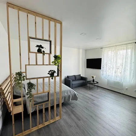 Modern Studio In Apartment Riga