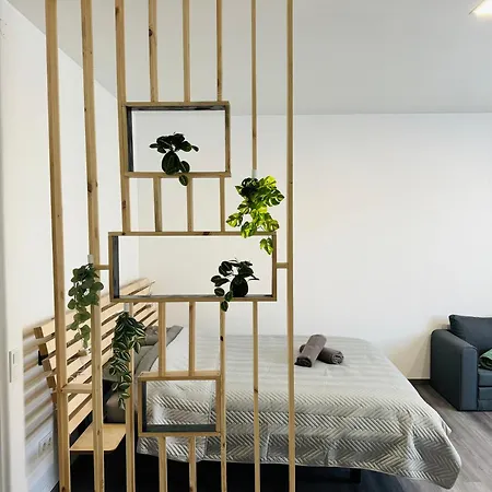 Modern Studio In Apartment *